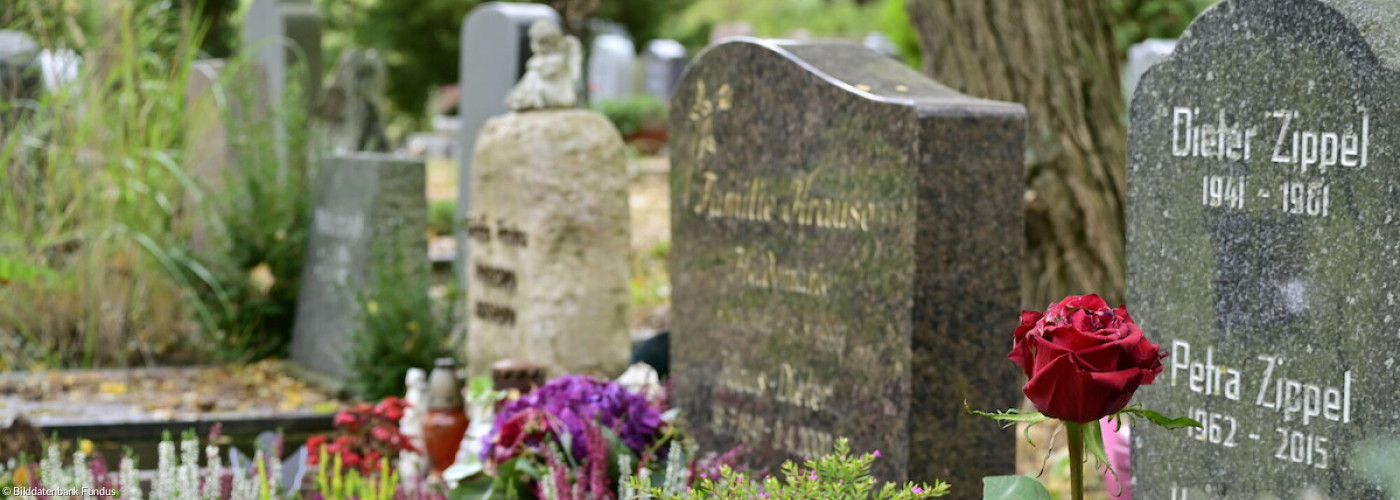 Pflanzen auf Gräbern