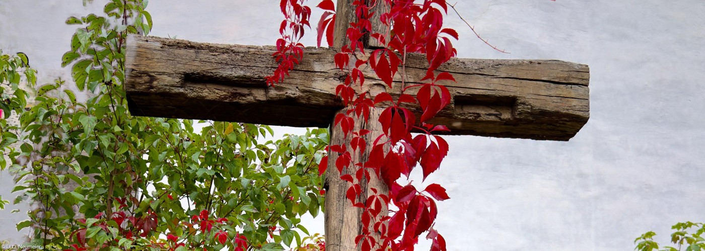 Holzkreuz vom Laub überrankt