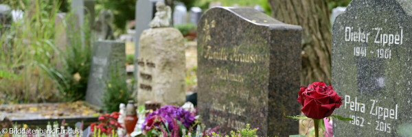 Pflanzen auf Gräbern