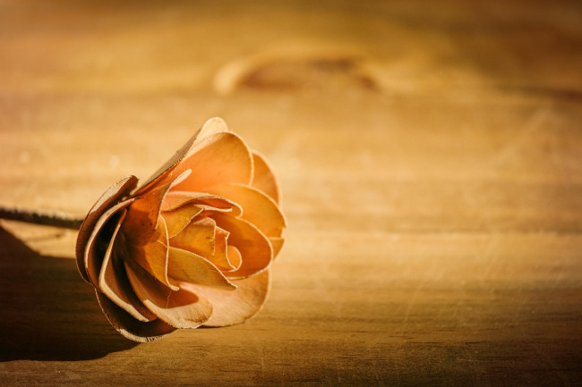 Wenn Du selber in Trauer bist